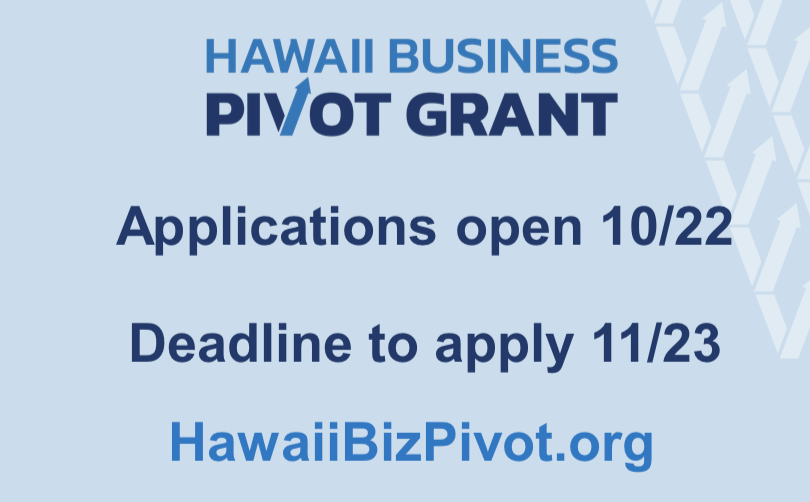Hawaii Small Businesses to Get $25 Million in Grants – Hawaii News and